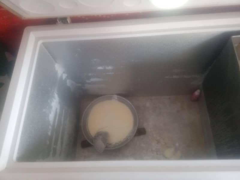 freezer 3