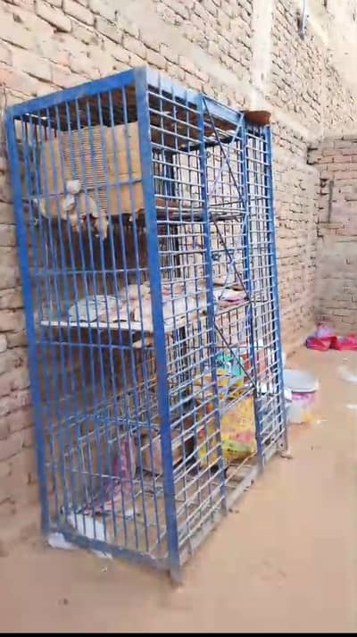 Pinjra for sale for farmi murgi