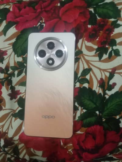OPPO Reno