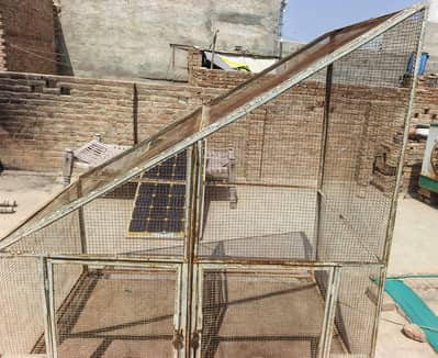 Bird cage | Pinjra |