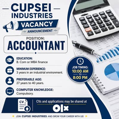 Accountant