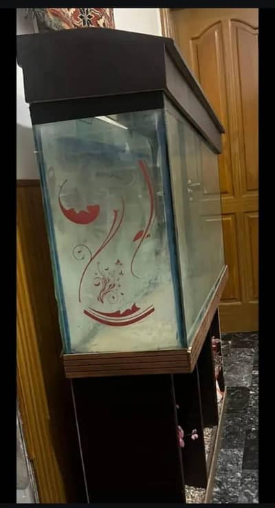 Fish aquarium