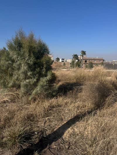 Commercial Plot For Sale In Zamar Valley Islamabad