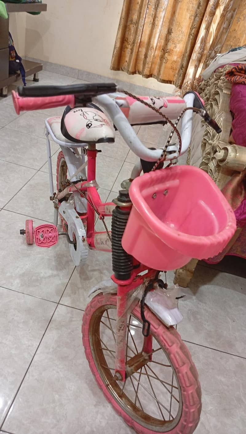 Cycle 3