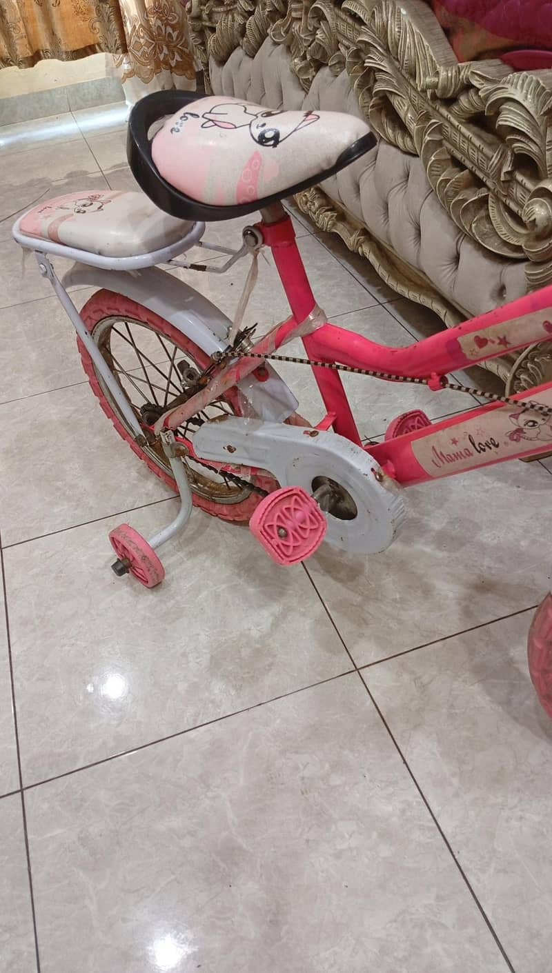 Cycle 4