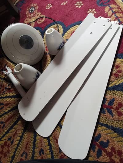Pak Fan Ceiling Fan – Excellent Condition – For Sale
