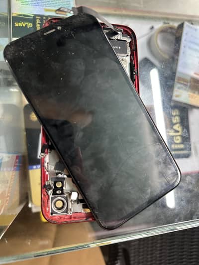 iPhone XR