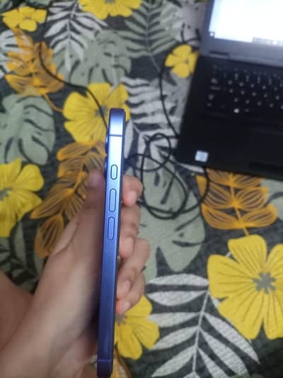 Apple iPhone 16