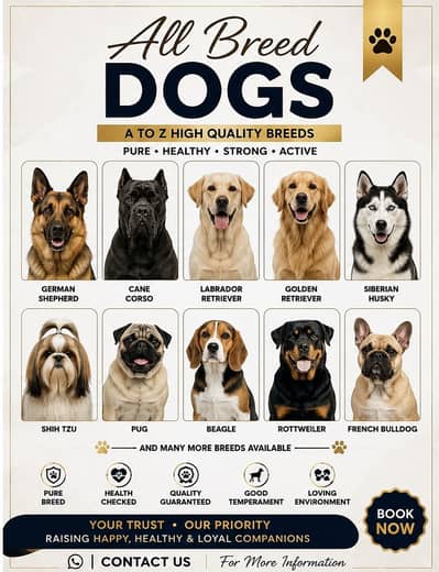 German shepherd | Husky | Shitzu | Cane Corso | All Breed Dogs / Pupps