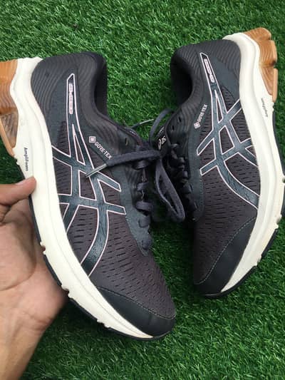Asics Gel Pulse 12 GoreTex Gray