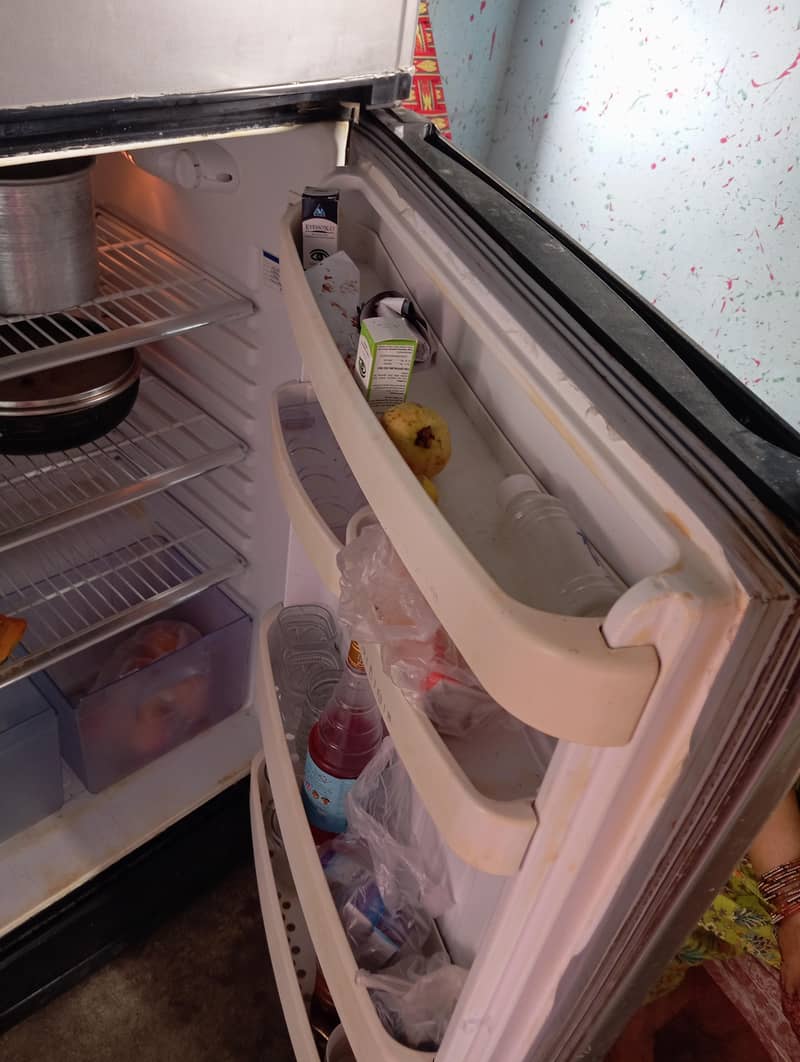 orient fridge 5