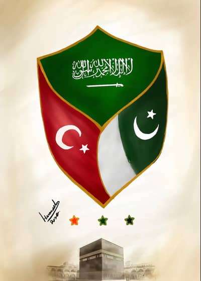 Hammad Ali 