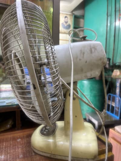 Royal Bracket fans
