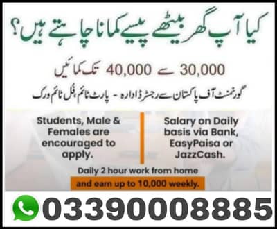 Online job opportunity