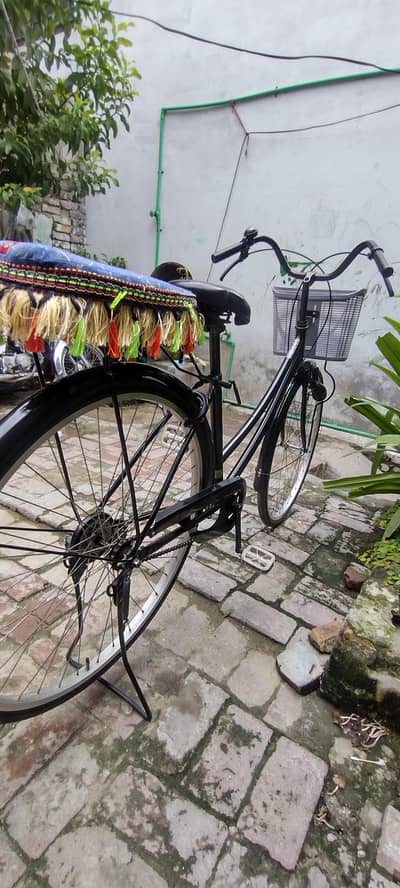 Japani Cycle