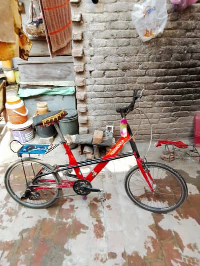 Japani Cycle