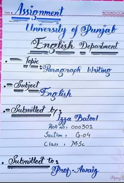 "Assignment writer "