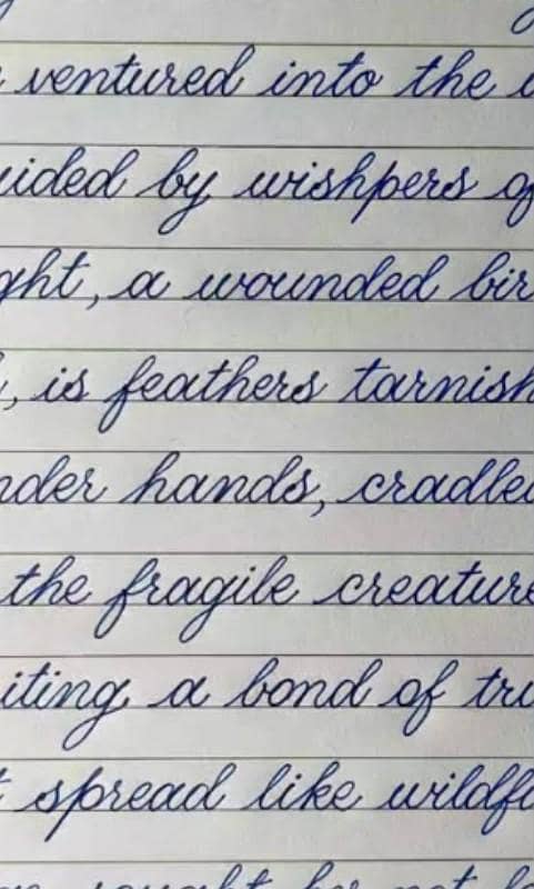 "Assignment writer " 1