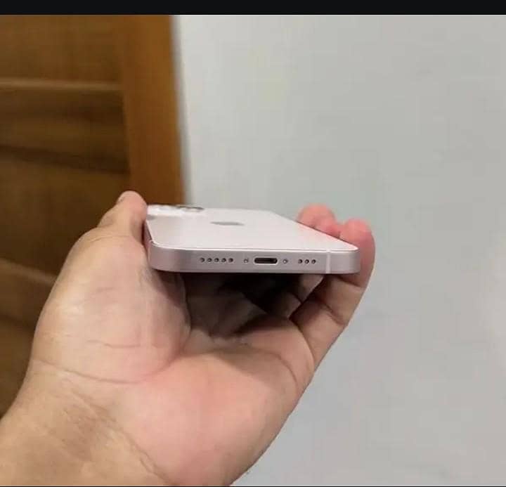 Apple iPhone 13 0