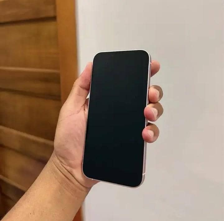 Apple iPhone 13 1