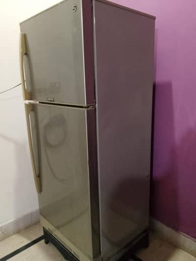 PEL fridge for sale