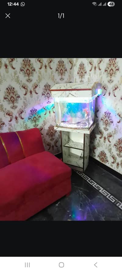 Fish Aquarium