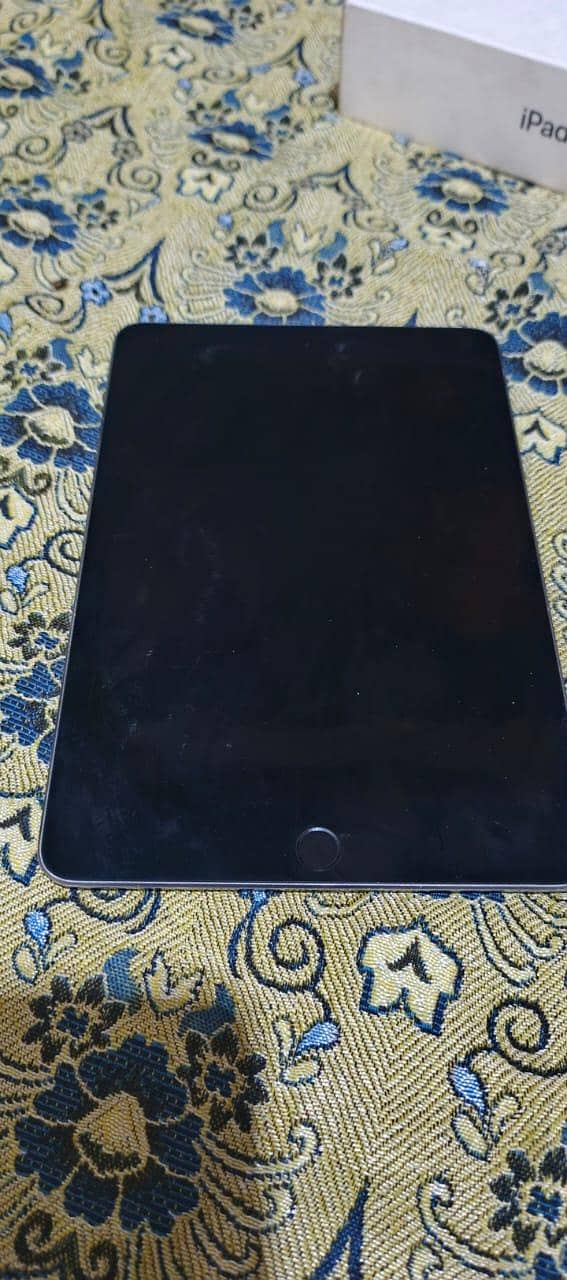 ipad mini 5 0