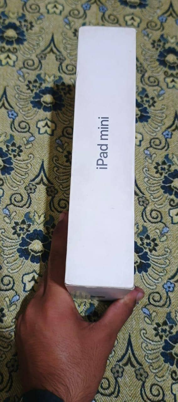 ipad mini 5 10