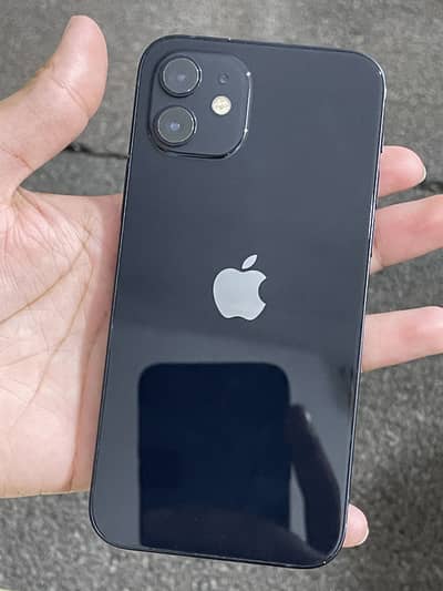 Apple iPhone 12