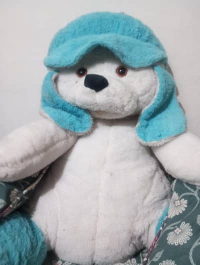 Teddy bear Soft Toy for kids