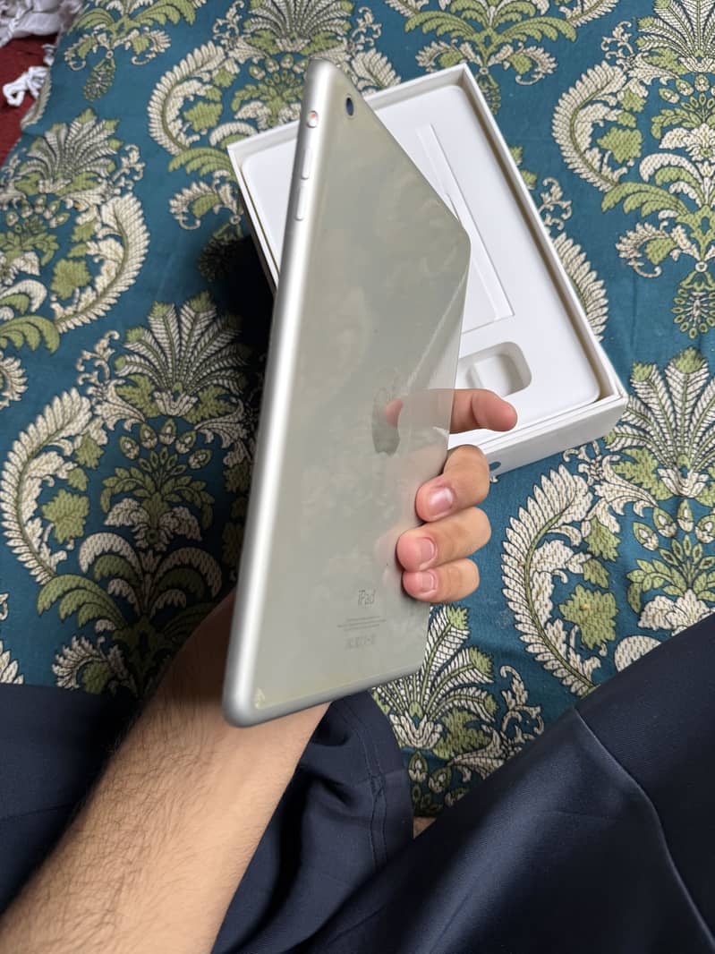 iPad mini 2