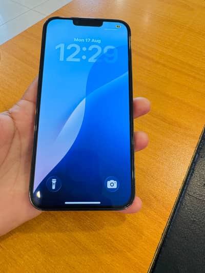 Apple iPhone 13 Pro Max jv