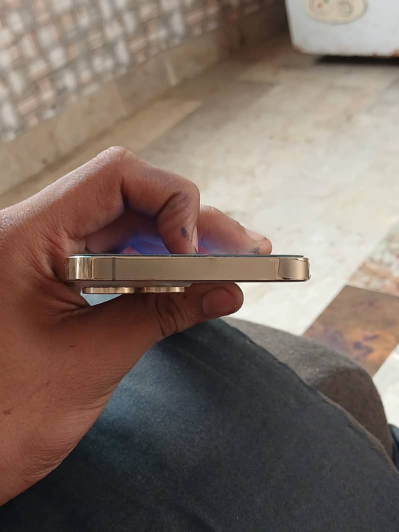 Apple iPhone 13 Pro Max 1
