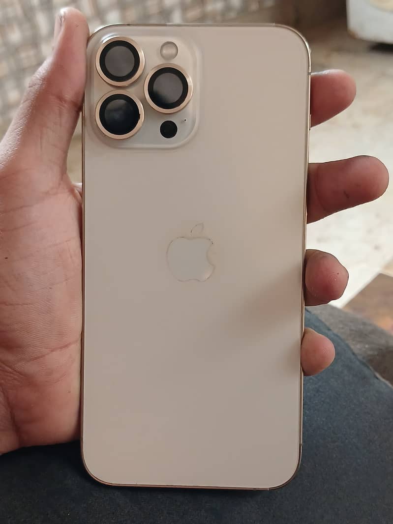 Apple iPhone 13 Pro Max 2