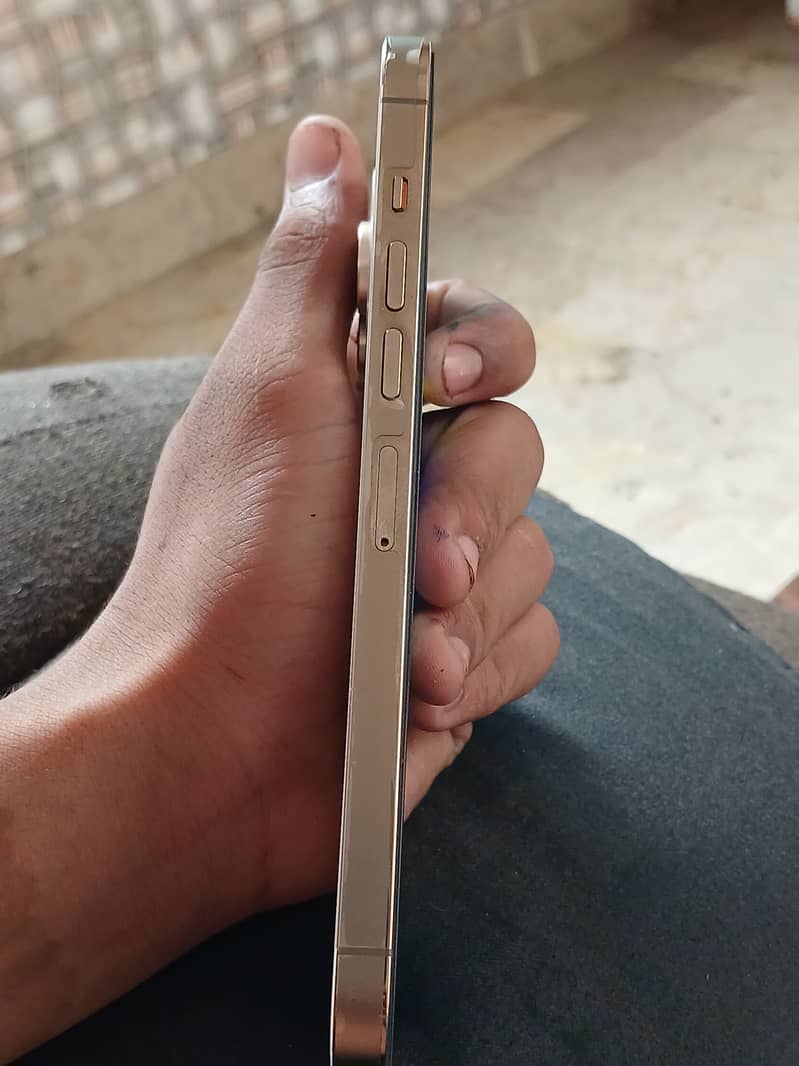 Apple iPhone 13 Pro Max 3