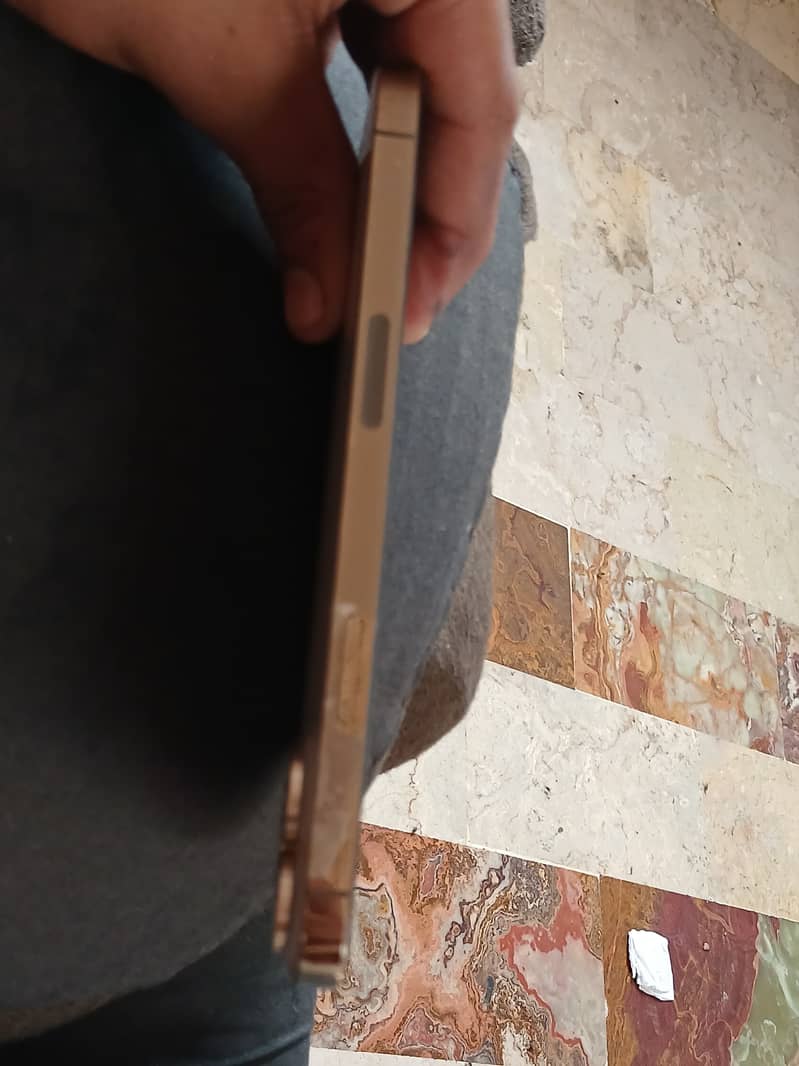 Apple iPhone 13 Pro Max 8