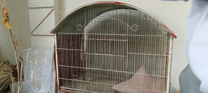 cage for sell