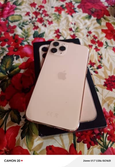 Apple iPhone 11 Pro