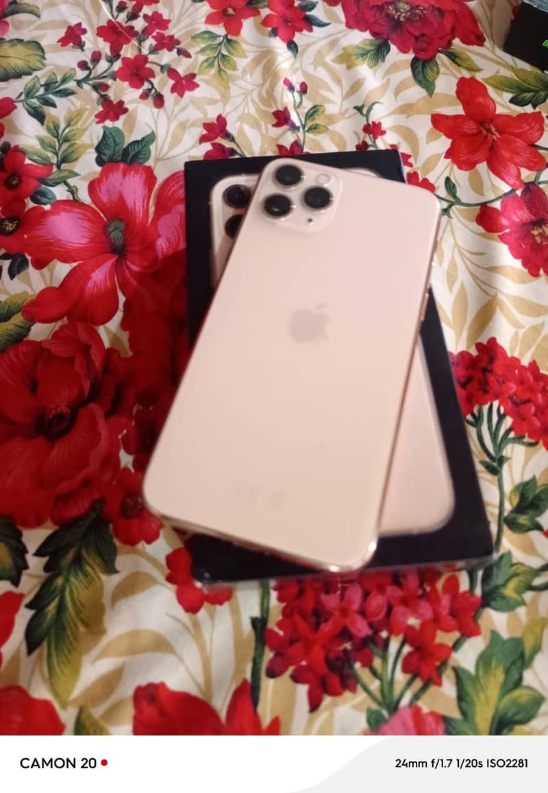 Apple iPhone 11 Pro 1