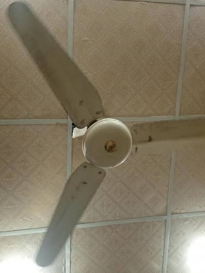 Ceiling Fans