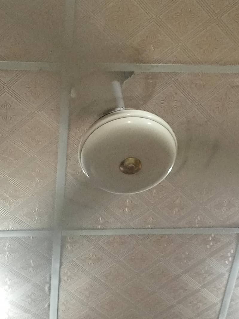 Ceiling Fans 1