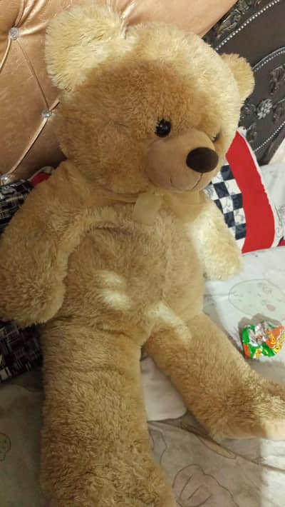 URGENT SELL Big Light Brown Teddy Bear Only RS 2500