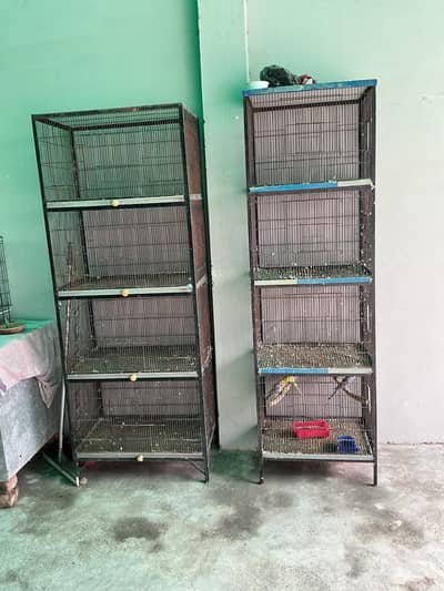 full angal cage