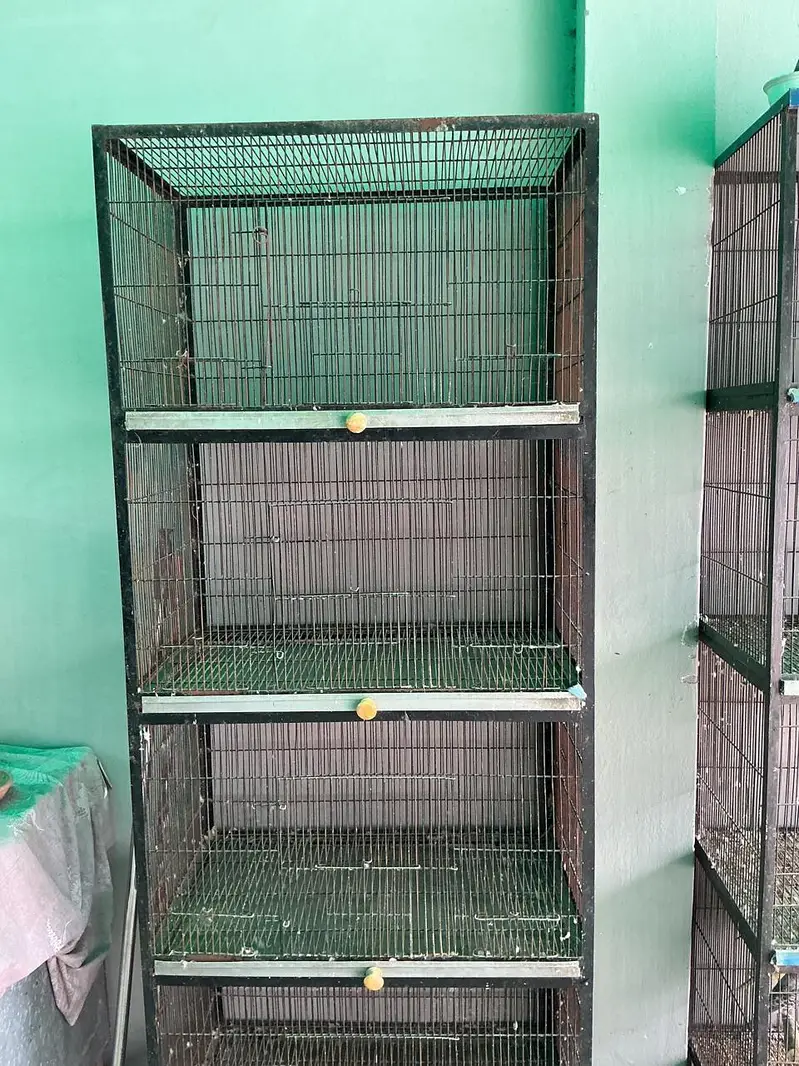 full angal cage — photo 2