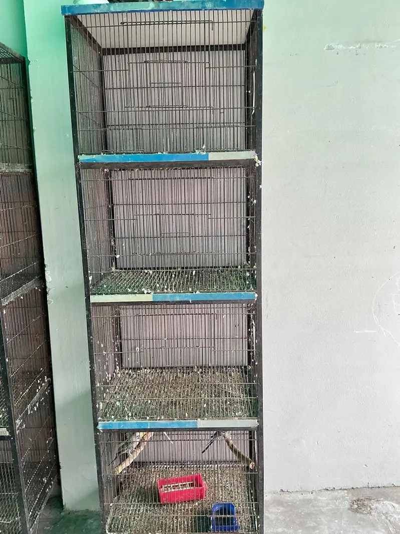 full angal cage — photo 3
