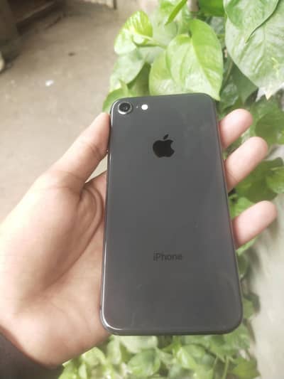 Apple iPhone 8