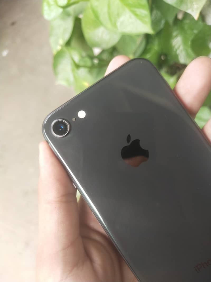 Apple iPhone 8 1