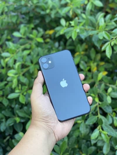 Iphone 12 Pta