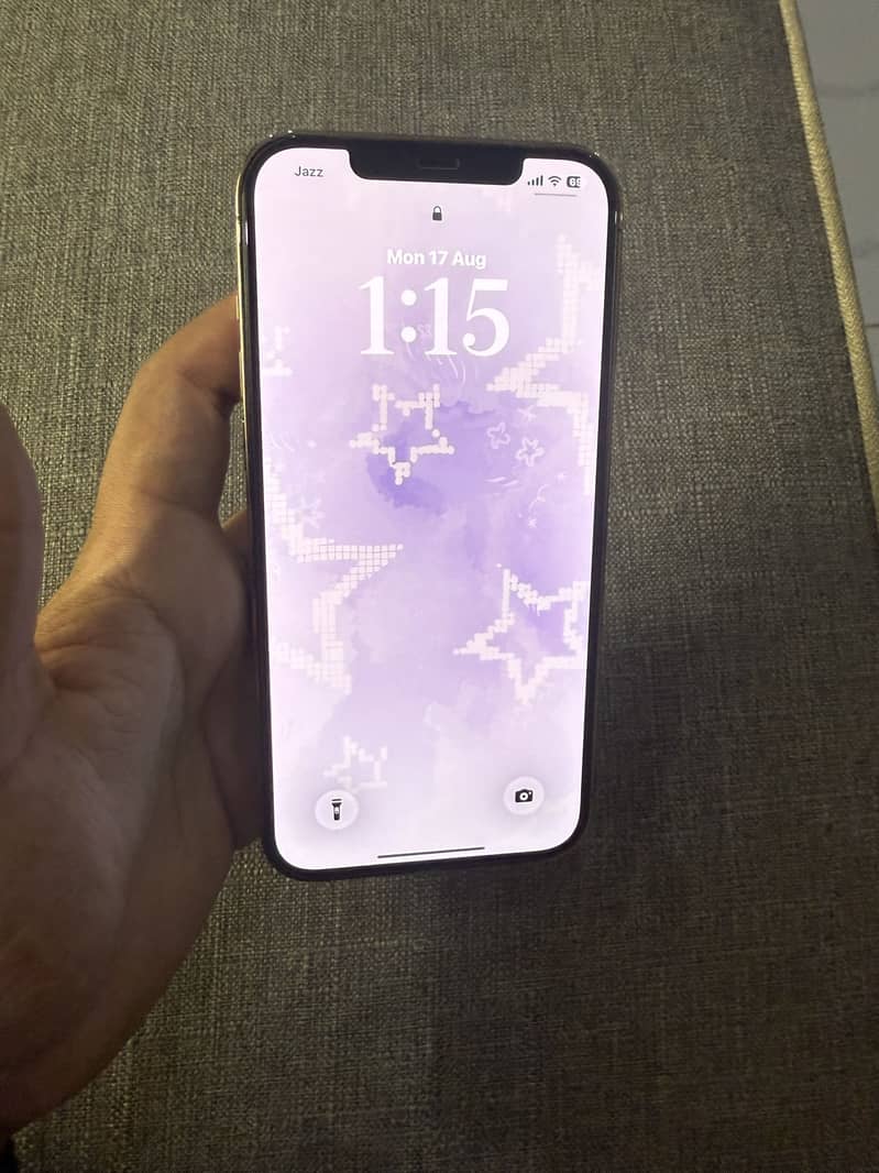 Apple iPhone 12 Pro Max 1