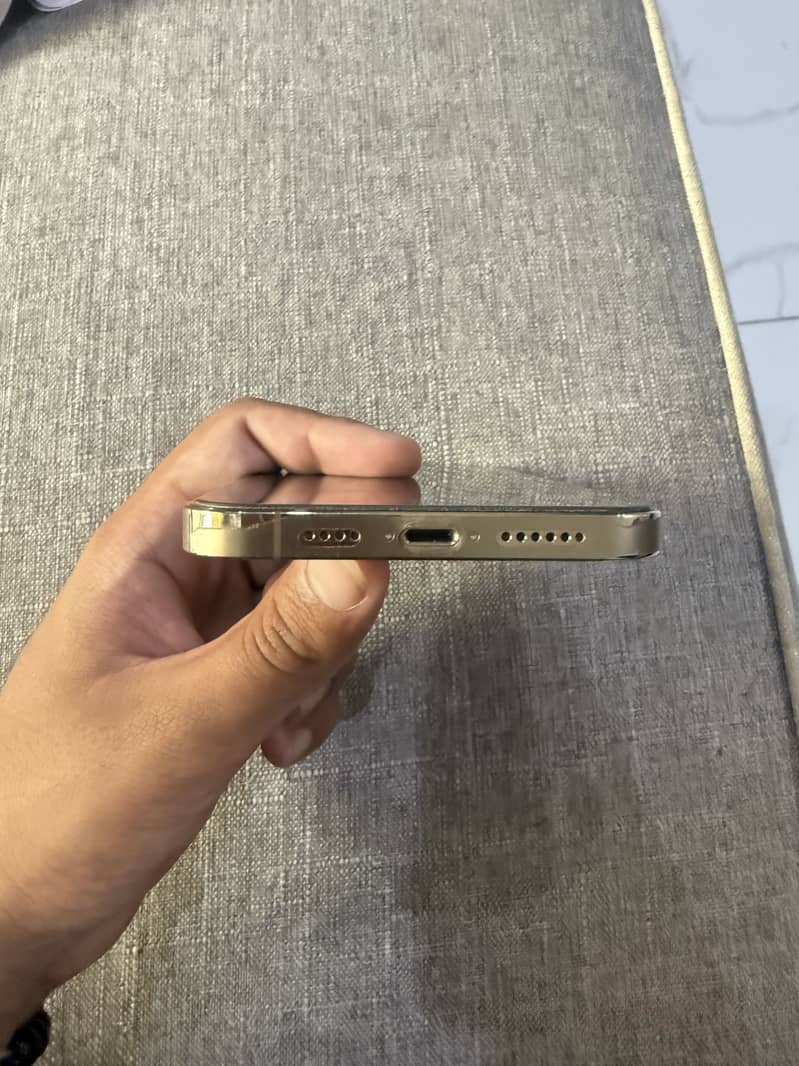 Apple iPhone 12 Pro Max 5